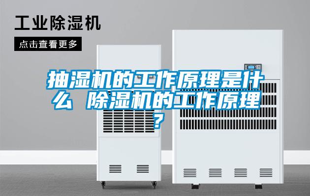 抽湿机的工作原理是什么 除湿机的工作原理？