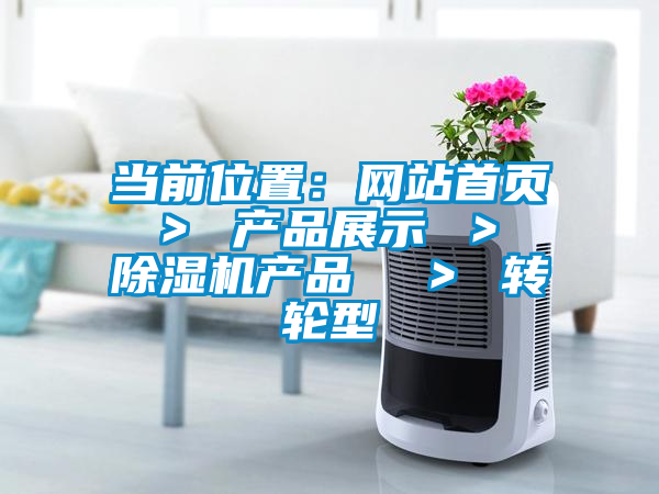 当前位置：网站首页 ＞ 产品展示 ＞ 除湿机产品  ＞ 转轮型