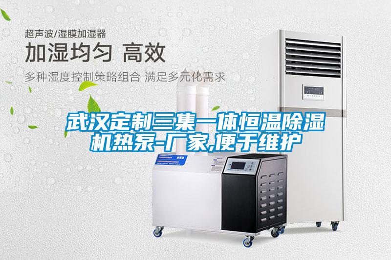 武汉定制三集一体恒温除湿机热泵-厂家,便于维护