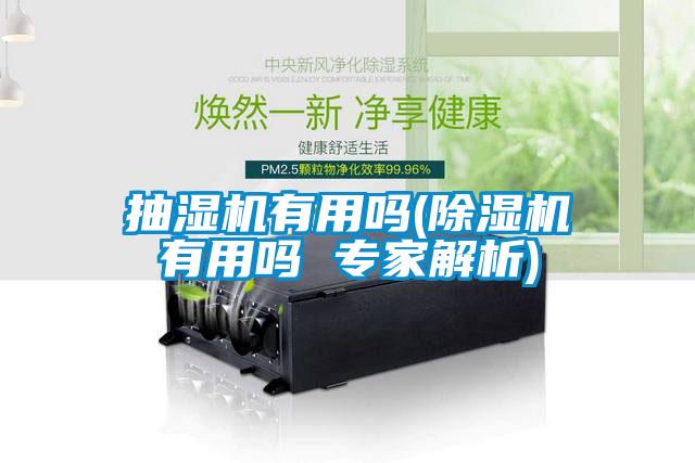 抽湿机有用吗(除湿机有用吗 专家解析)