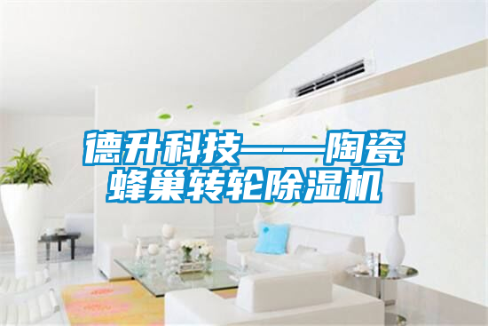 德升科技——陶瓷蜂巢转轮除湿机