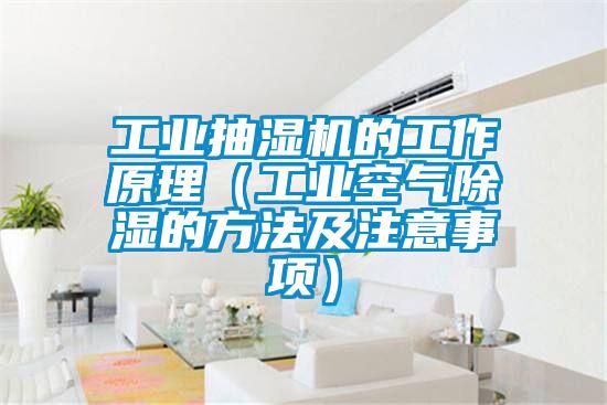 工业抽湿机的工作原理（工业空气除湿的方法及注意事项）