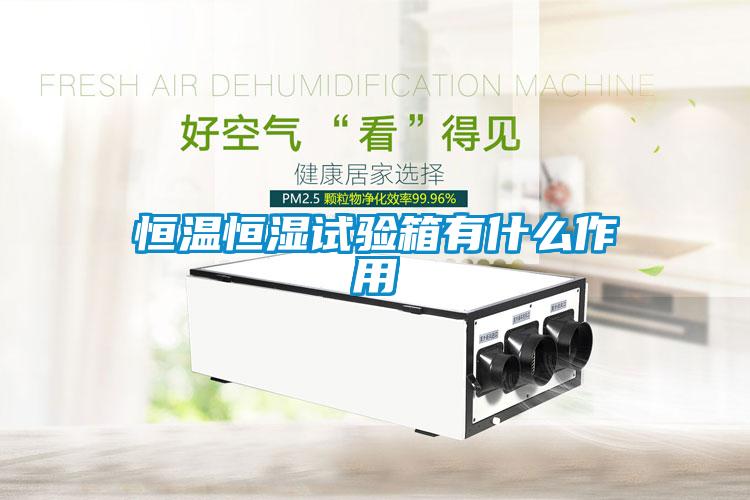 恒温恒湿试验箱有什么作用