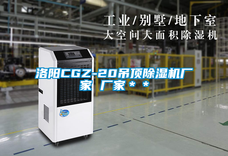 洛阳CGZ-20吊顶除湿机厂家 厂家＊＊