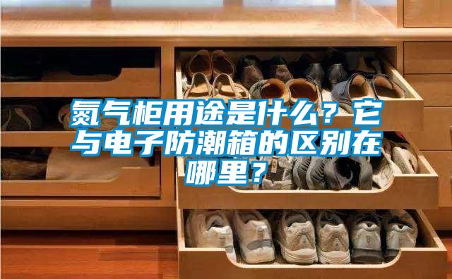 氮气柜用途是什么？它与电子防潮箱的区别在哪里？