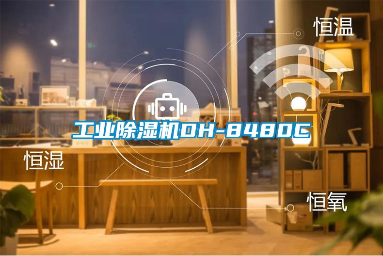 工业除湿机DH-8480C