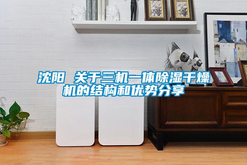 沈阳 关于三机一体除湿干燥机的结构和优势分享