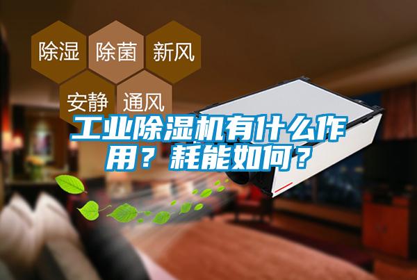 工业除湿机有什么作用？耗能如何？