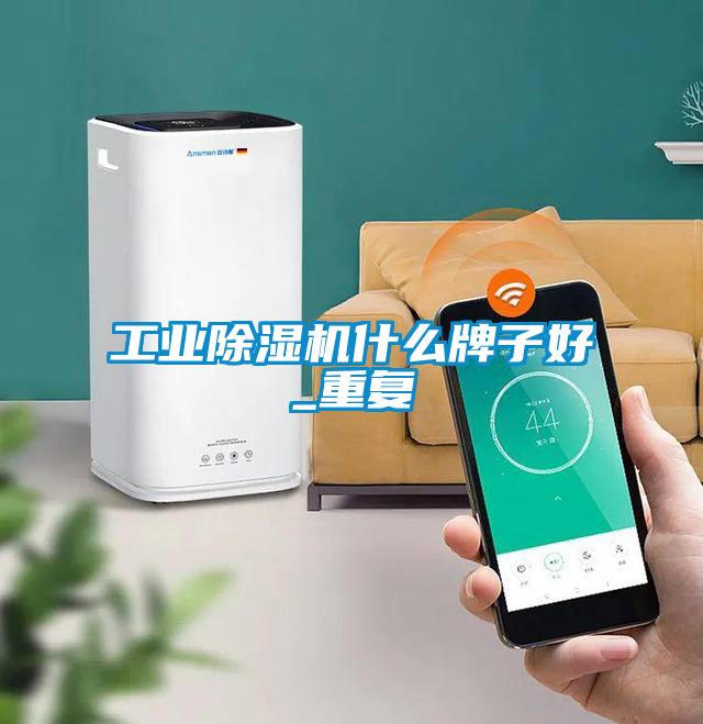 工业除湿机什么牌子好_重复