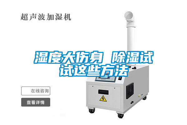 湿度大伤身 除湿试试这些方法
