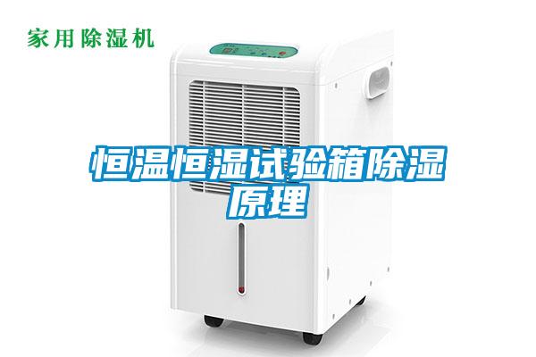 恒温恒湿试验箱除湿原理