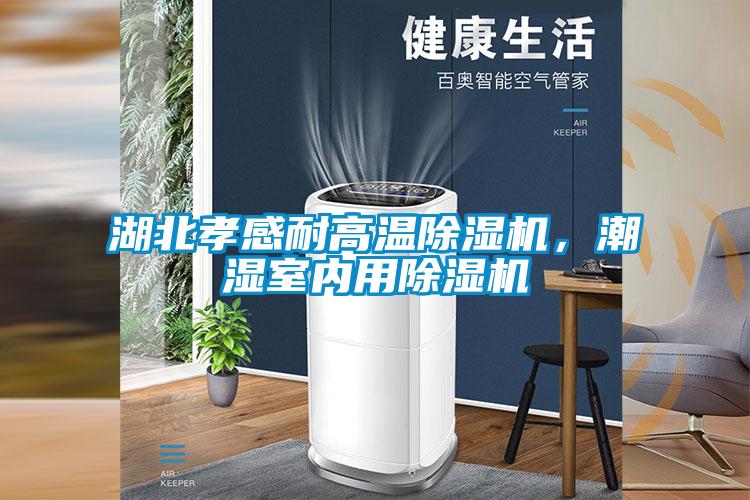 湖北孝感耐高温除湿机，潮湿室内用除湿机