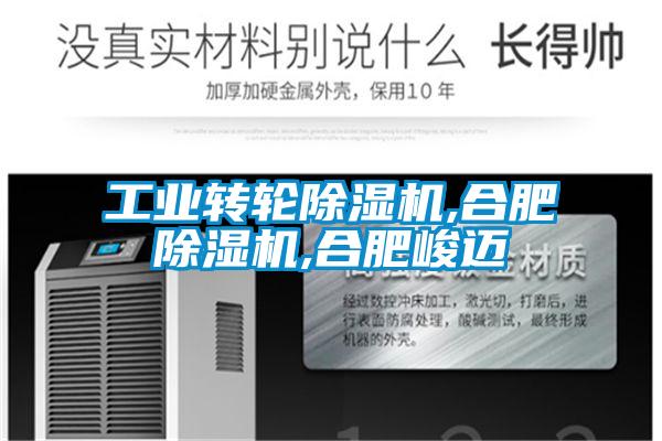 工业转轮除湿机,合肥除湿机,合肥峻迈