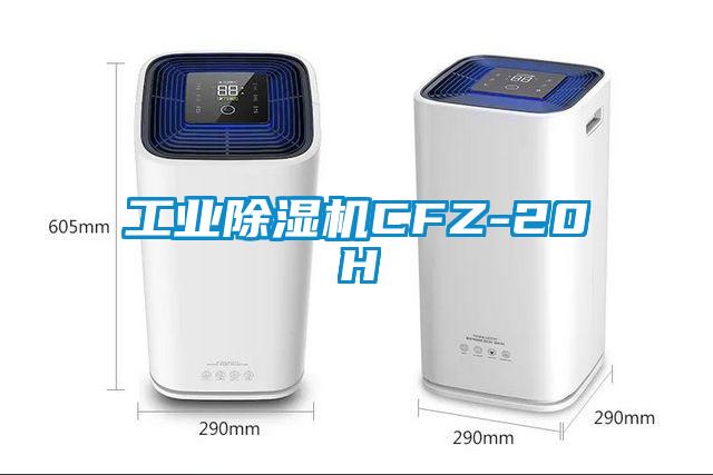工业除湿机CFZ-20H