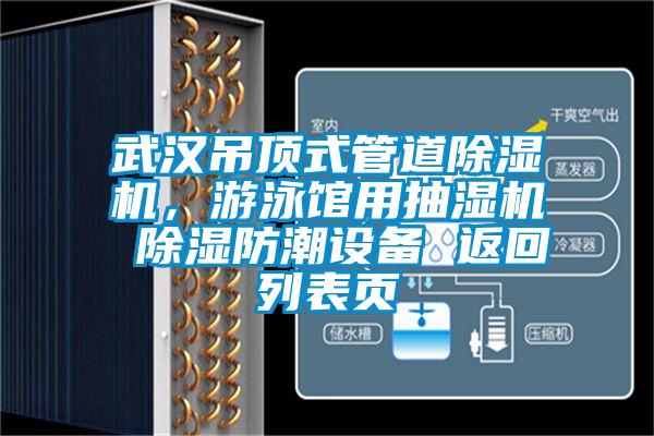 武汉吊顶式管道除湿机，游泳馆用抽湿机 除湿防潮设备 返回列表页