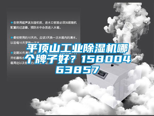 平顶山工业除湿机哪个牌子好？15800463857