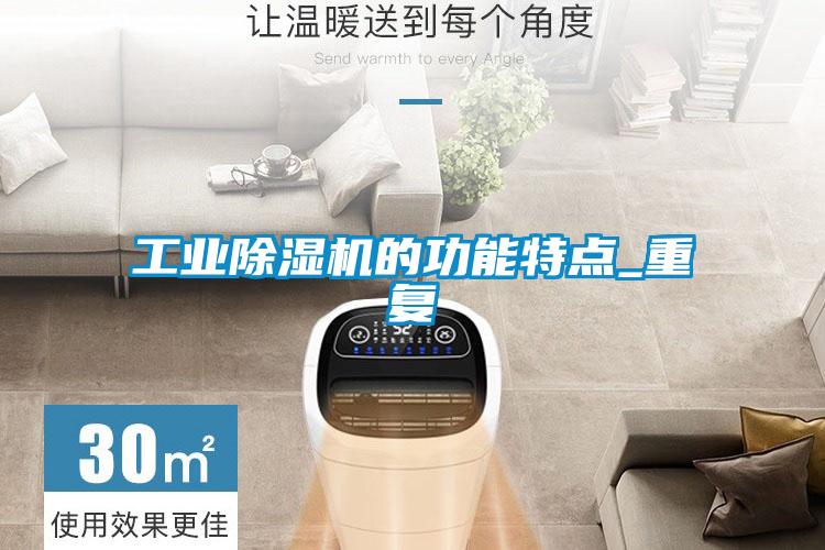 工业除湿机的功能特点_重复