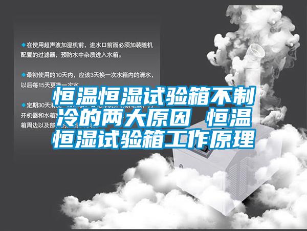恒温恒湿试验箱不制冷的两大原因 恒温恒湿试验箱工作原理