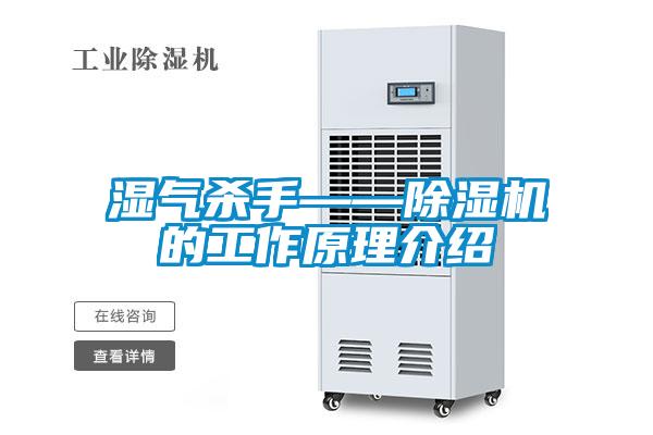湿气杀手——除湿机的工作原理介绍