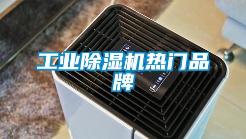工业除湿机热门品牌