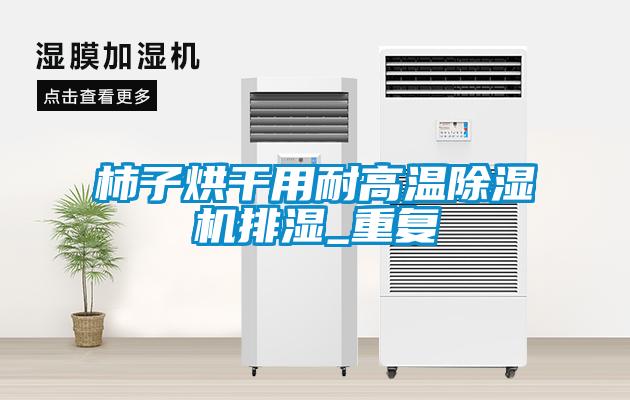 柿子烘干用耐高温除湿机排湿_重复