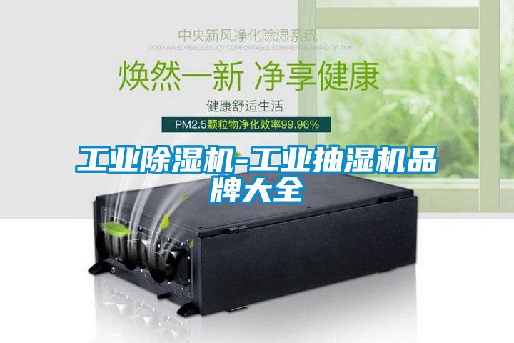 工业除湿机-工业抽湿机品牌大全