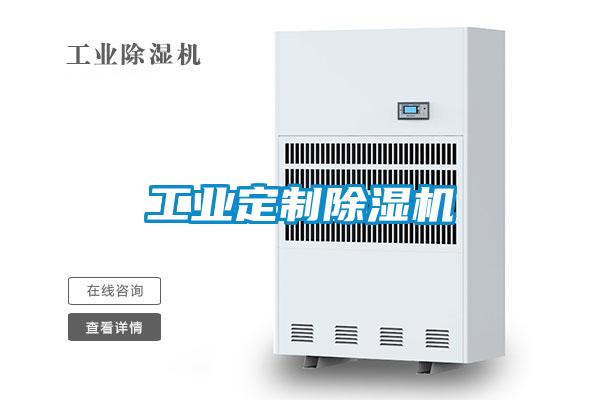 工业定制除湿机