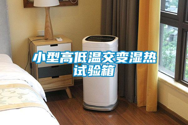 小型高低温交变湿热试验箱