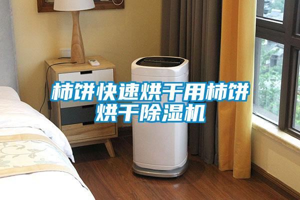 柿饼快速烘干用柿饼烘干除湿机