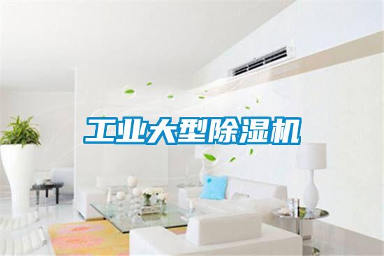 工业大型除湿机