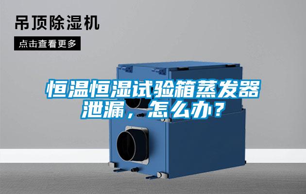 恒温恒湿试验箱蒸发器泄漏，怎么办？