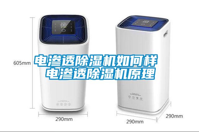 电渗透除湿机如何样 电渗透除湿机原理