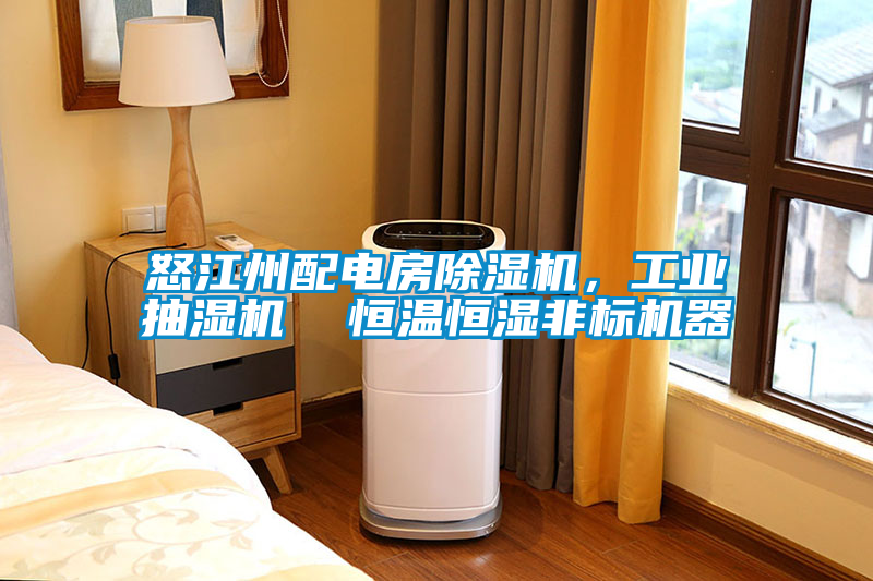 怒江州配电房除湿机，工业抽湿机  恒温恒湿非标机器
