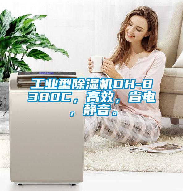 工业型除湿机DH-8380C，高效，省电，静音。