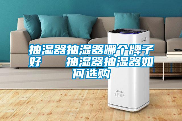 抽湿器抽湿器哪个牌子好   抽湿器抽湿器如何选购