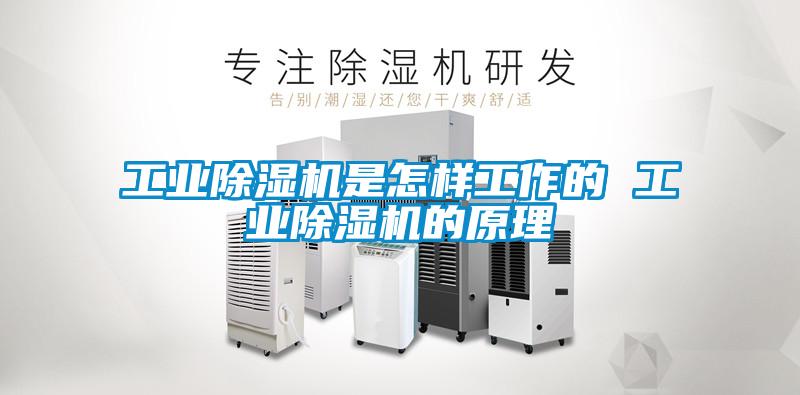 工业除湿机是怎样工作的 工业除湿机的原理