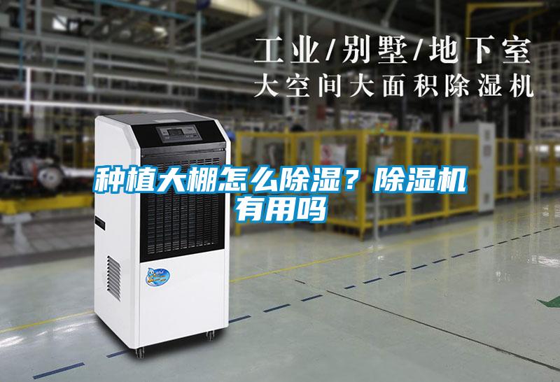 种植大棚怎么除湿？除湿机有用吗