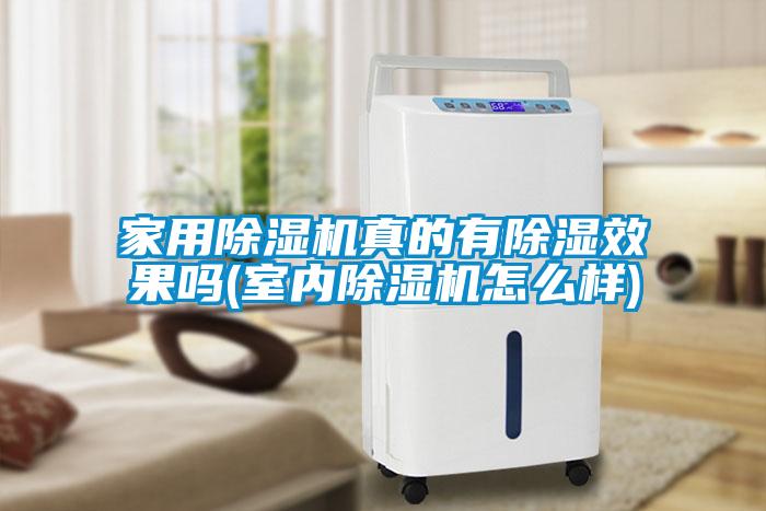 家用除湿机真的有除湿效果吗(室内除湿机怎么样)