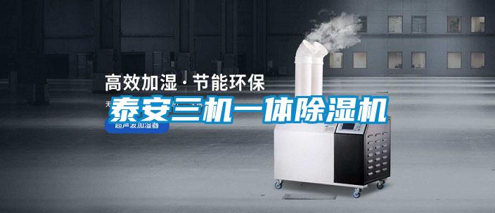 泰安三机一体除湿机