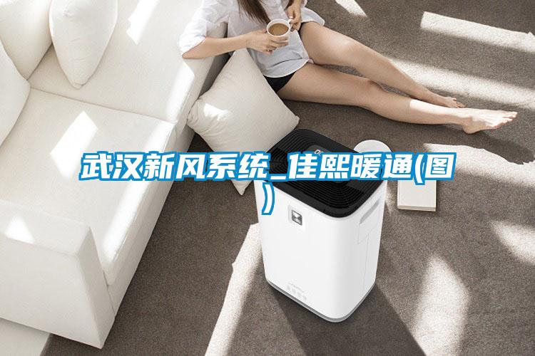 武汉新风系统_佳熙暖通(图)