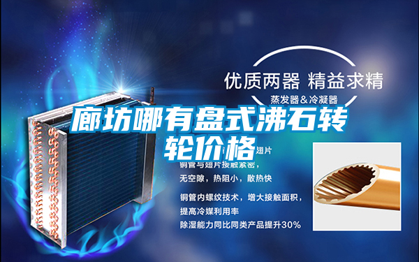 廊坊哪有盘式沸石转轮价格