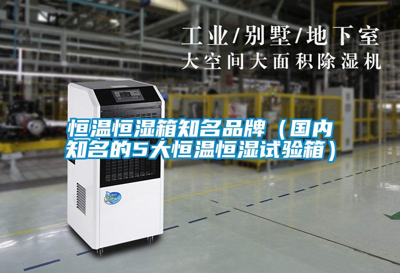 恒温恒湿箱知名品牌（国内知名的5大恒温恒湿试验箱）