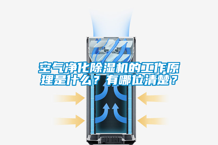 空气净化除湿机的工作原理是什么？有哪位清楚？