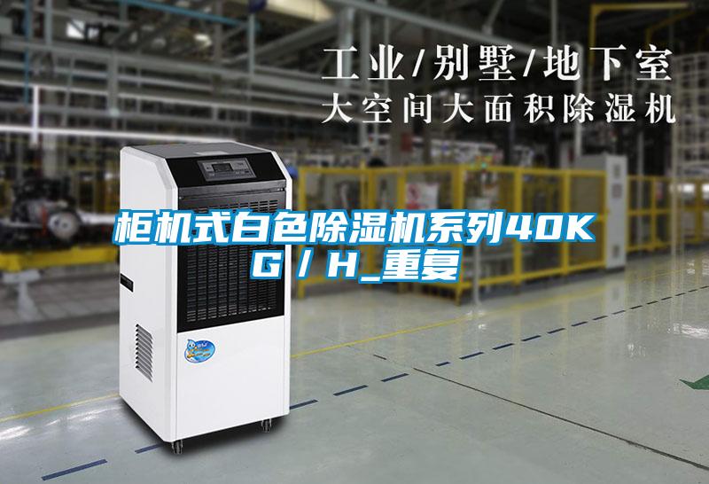 柜机式白色除湿机系列40KG／H_重复