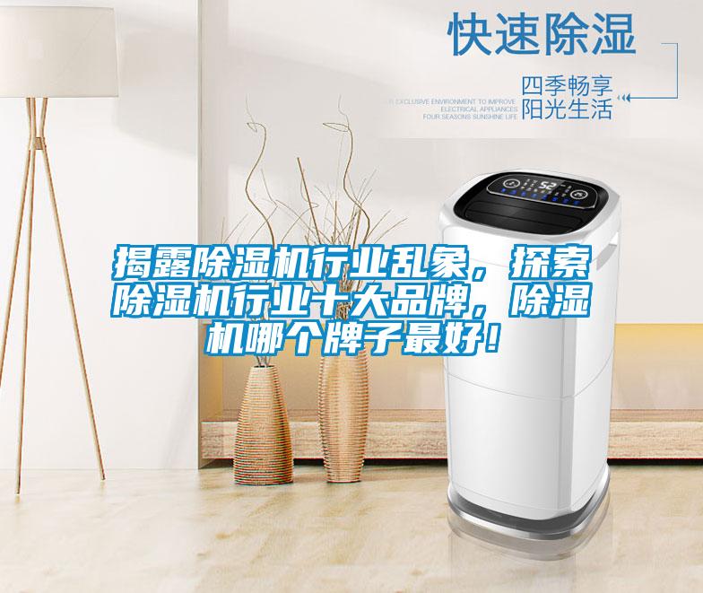 揭露除湿机行业乱象，探索除湿机行业十大品牌，除湿机哪个牌子最好！