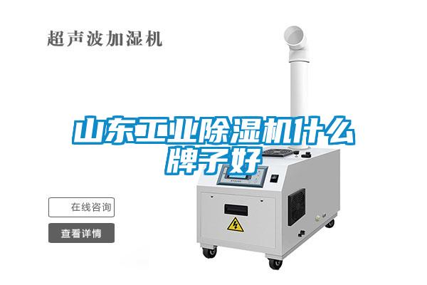 山东工业除湿机什么牌子好