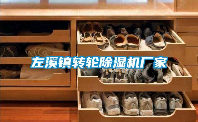 左溪镇转轮除湿机厂家