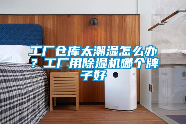 工厂仓库太潮湿怎么办？工厂用除湿机哪个牌子好