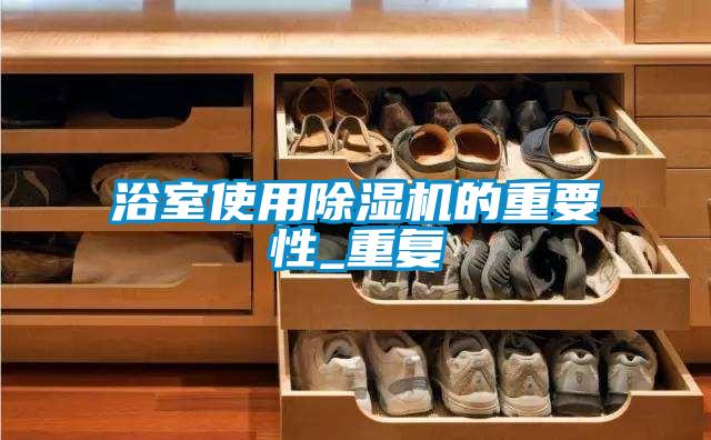 浴室使用除湿机的重要性_重复