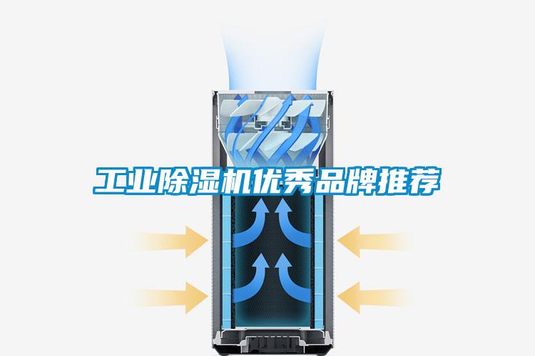 工业除湿机优秀品牌推荐